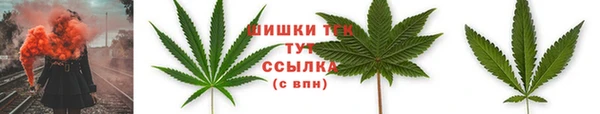 дурь Пестово