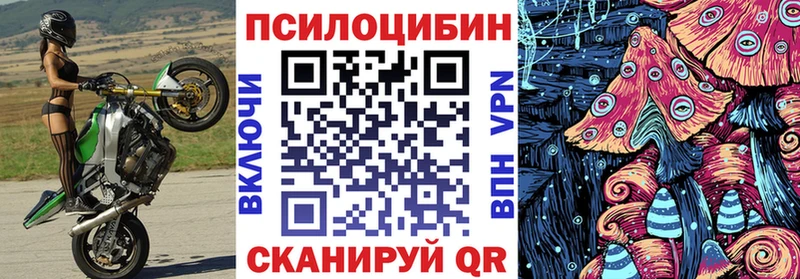 где можно купить   Армянск  Псилоцибиновые грибы Psilocybe 