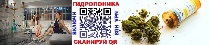купить наркотик  Армянск  Марихуана ГИДРОПОН 
